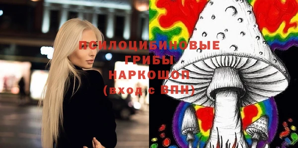 мдпв Белокуриха